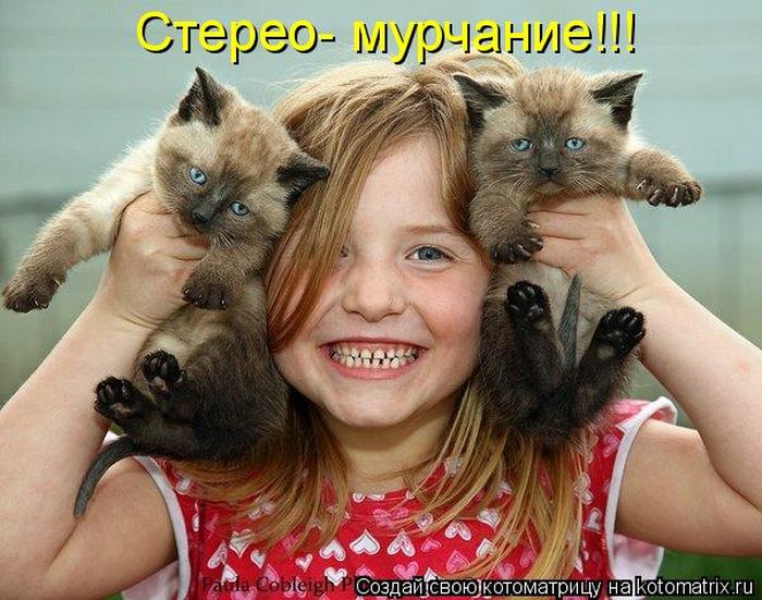 Мысли вслух :)