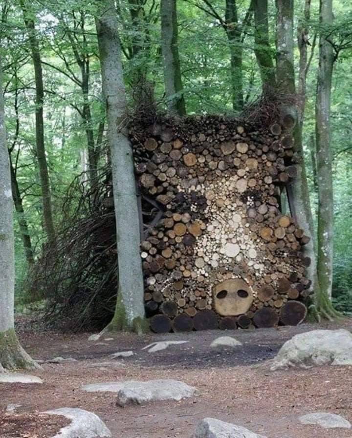 Подборка прикольных картинок  приколы,смешные картинки,юмор