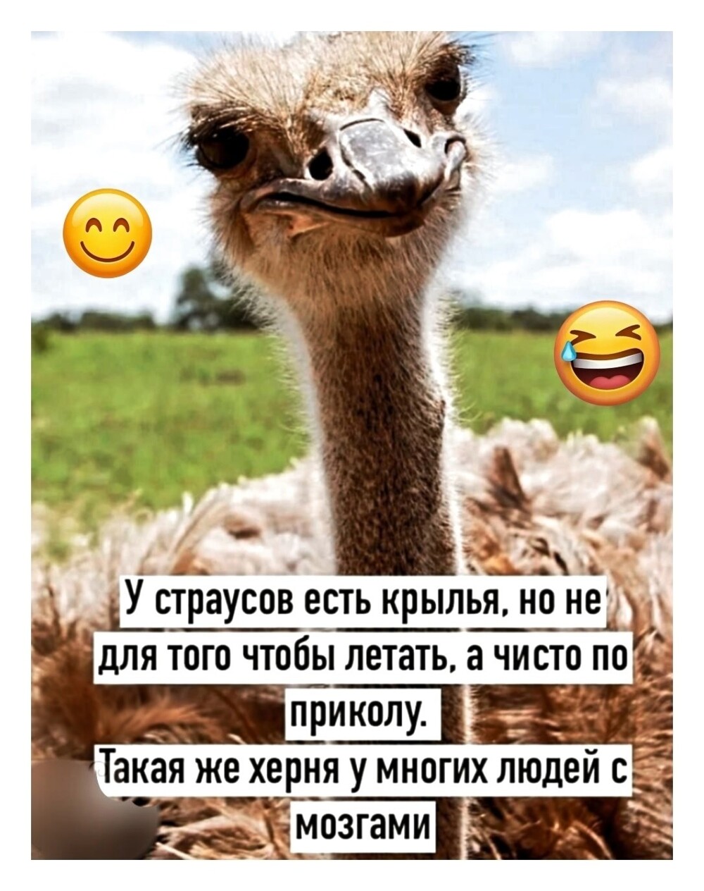 Челябинские пенсионеры настолько суровы, что силой выманили у мошенников два миллиона рублей Челябинские пенсионеры настолько суровы, что силой выманили у мошенников два миллиона рублей