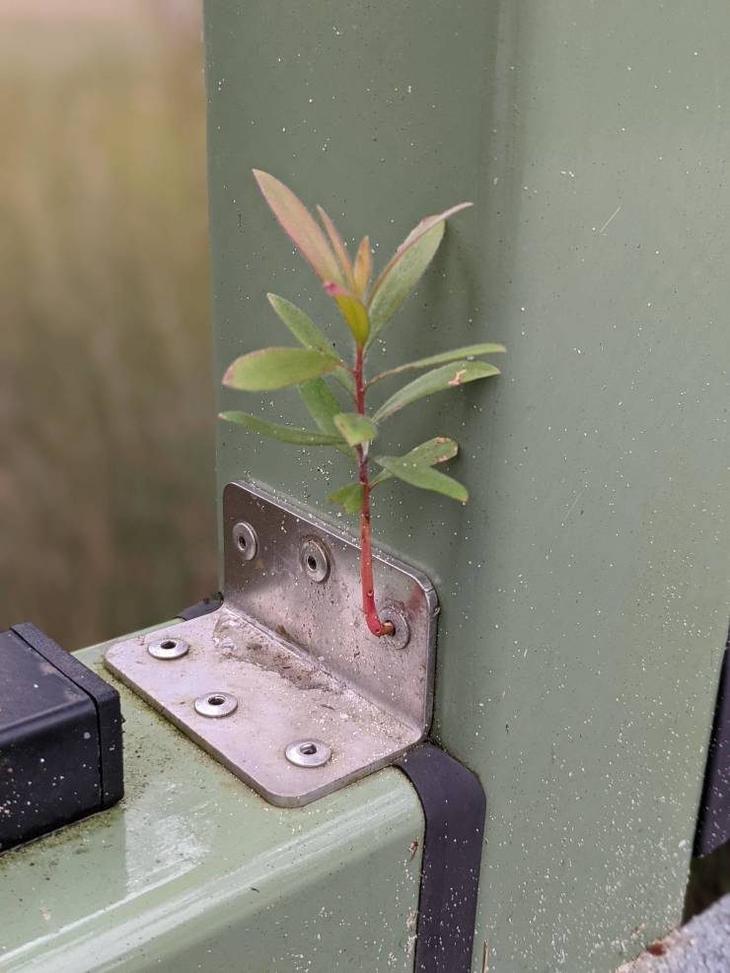 Смешно и прикольно Смешно и прикольно