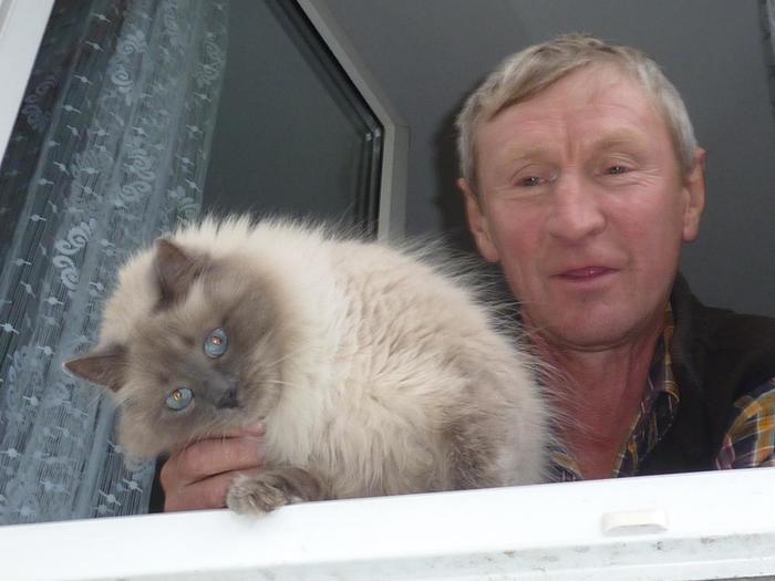 А кошку я вам не отдам! А кошку я вам не отдам! истории из жизни