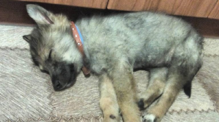 BeFunky-collage - 2020-02-11T125813.495