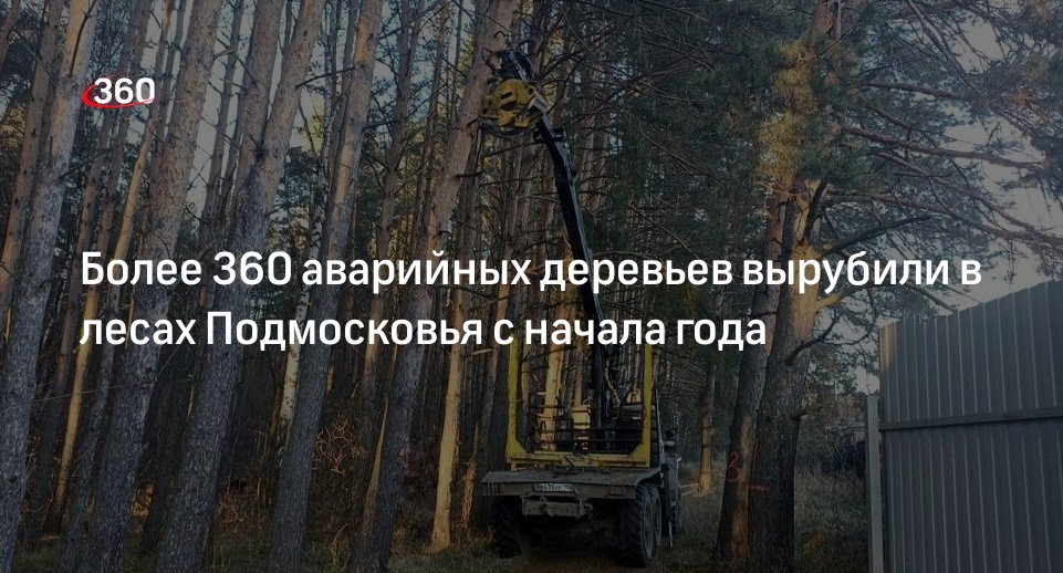 Леса Подмосковья очистили от 360 поврежденных деревьев с начала года