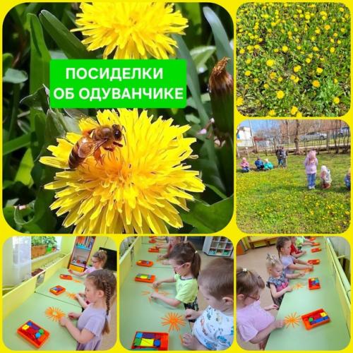 12 мая – день экологического образования.