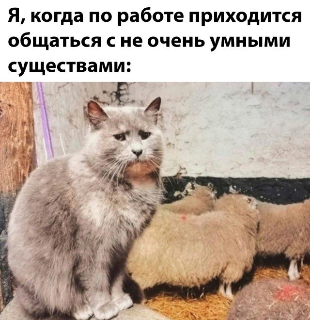 Рабочие приколы. Наслаждайтесь! Рабочие приколы. Наслаждайтесь! позитив,смешные картинки,юмор