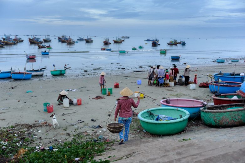 Вьетнамский рыбный рынок только, можно, больше, весьма, морских, очень, МуйНе, будет, лодки, рынок, вообще, рыбаки, часов, пляжа, товар, креветка, конечно, креветок, «Тхунг, можете
