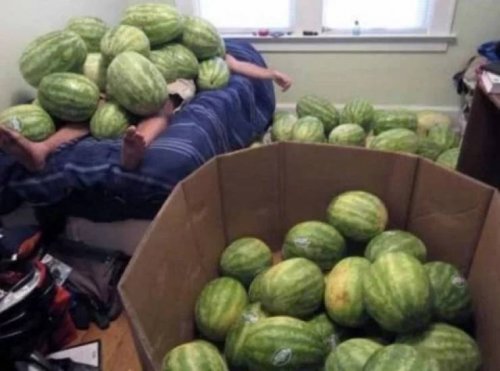 Студенческая жизнь в прикольных картинках Студенческая жизнь в прикольных картинках приколы