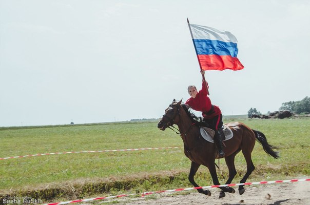 Несчастные случаи на арене цирка