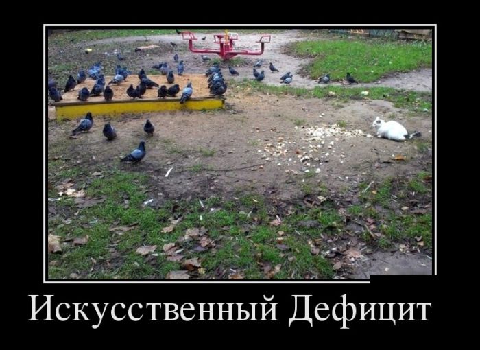 Демотиваторов пост: «Если мужа плохо кормить...» 