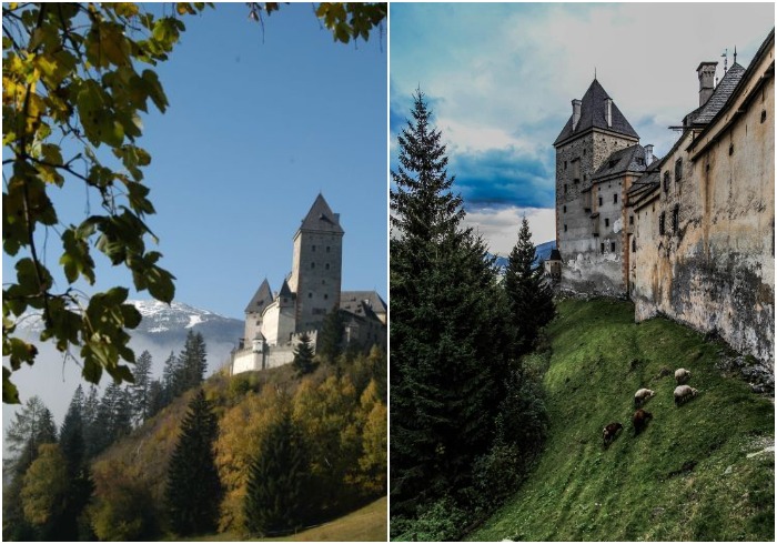 Неприступные стены крепости в окружении лесного пейзажа (Schloss Moosham, Австрия).