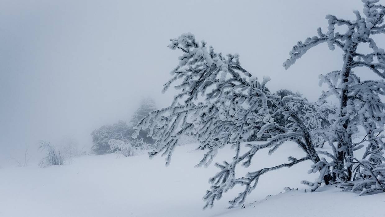 Часть сахалинцев осталась без света из-за плохих погодных условий