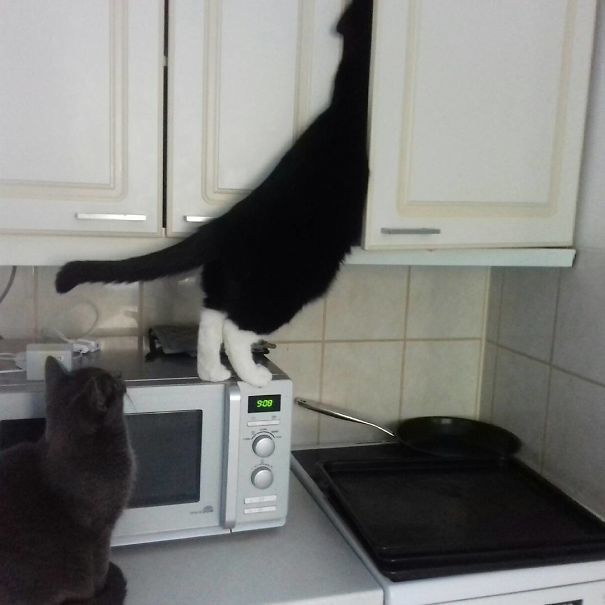 Reach Higher. Yeah! Thats It! I Think That