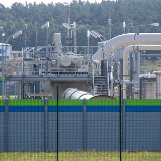 Назван срок ограничения поставок российского газа в Европу