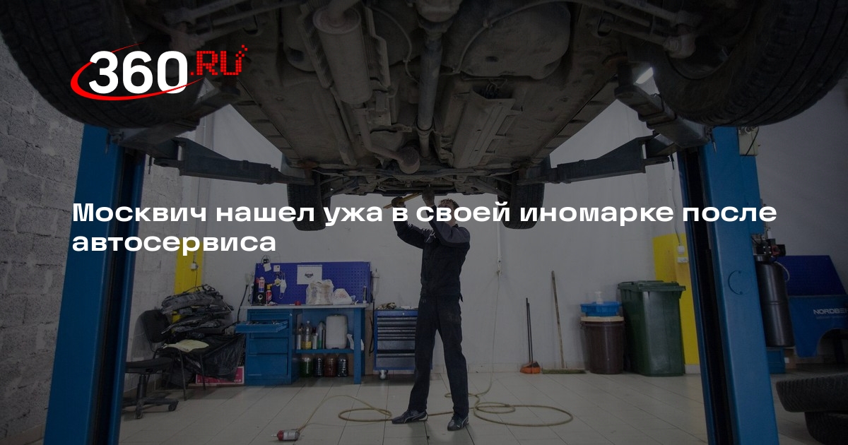 Источник 360.ru: ужа нашли в салоне Nissan после автосервиса