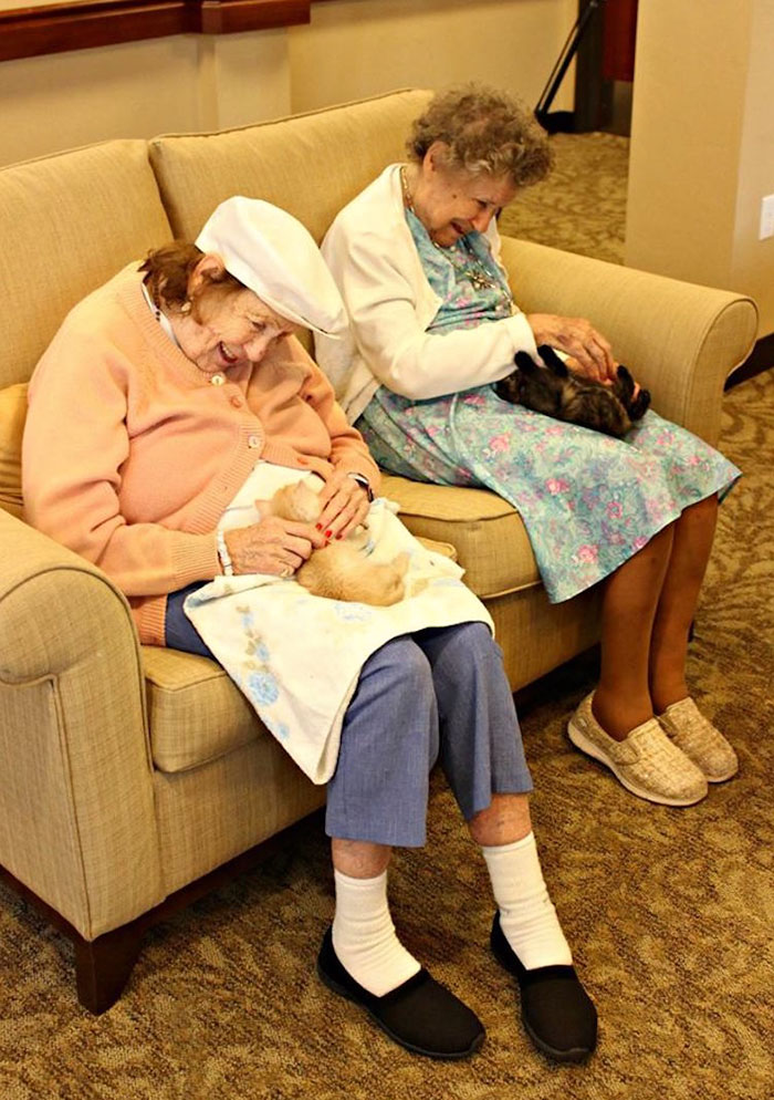 Дом престарелых, где заботятся не только о стариках