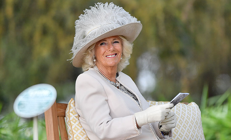 Герцогиня Камилла представила новую открытку со своим участием