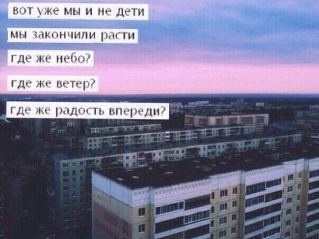 Забавные фотографии и картинки с надписями Забавные фотографии и картинки с надписями