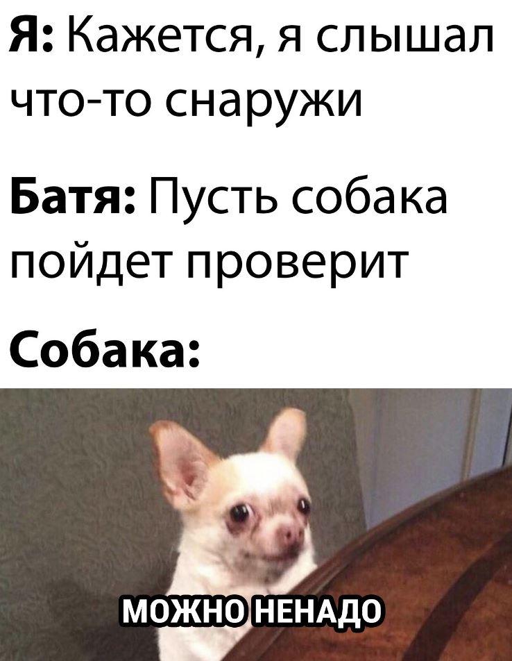 Лучшие приколы дня, картинки с надписями, смех до слез Лучшие приколы дня, картинки с надписями, смех до слез