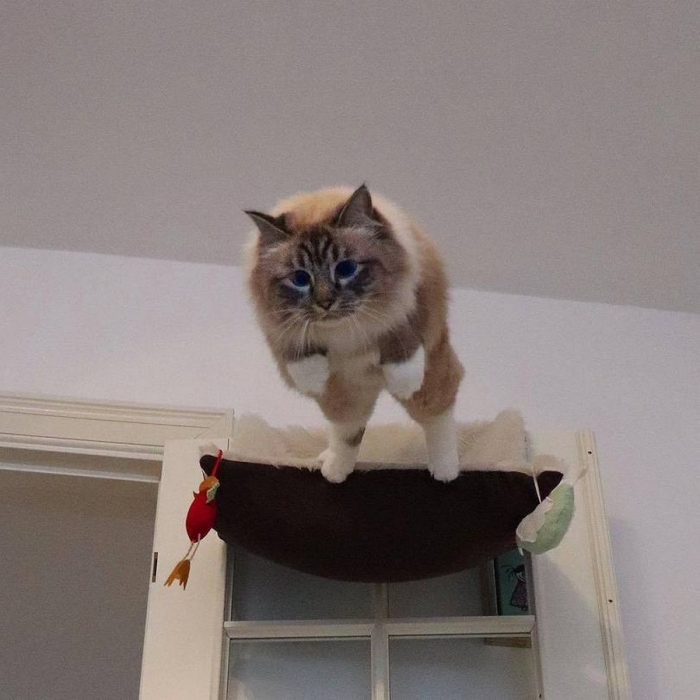 Фотоподборка 