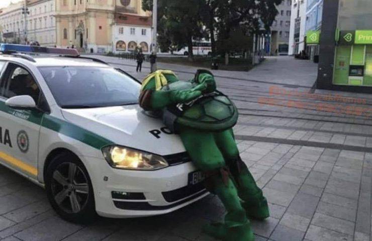 Подборка прикольных картинок  приколы,смешные картинки,юмор