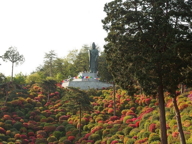 Shiofune-Kannon-ji Temple – буддийский храм, окруженный разноцветными кустами азалии авиатур