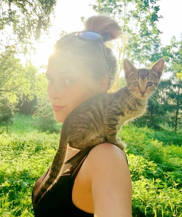 A Girl From Latvia Rescued More Than 350 Homeless Cats During Last 2 Years