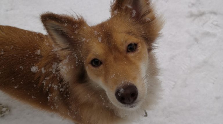 BeFunky-collage - 2020-02-13T102817.791