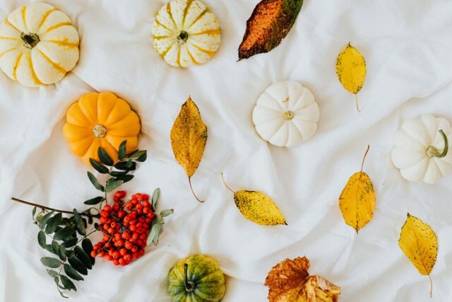 Один из способов сохранить урожай фруктов и овощей без особых потерь — использовать при закладке на хранение листья и ветки рябины. © Pexels  
