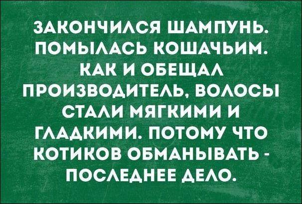 Подборочка из 15 добрых и смешных историй из интернета от простых людей 