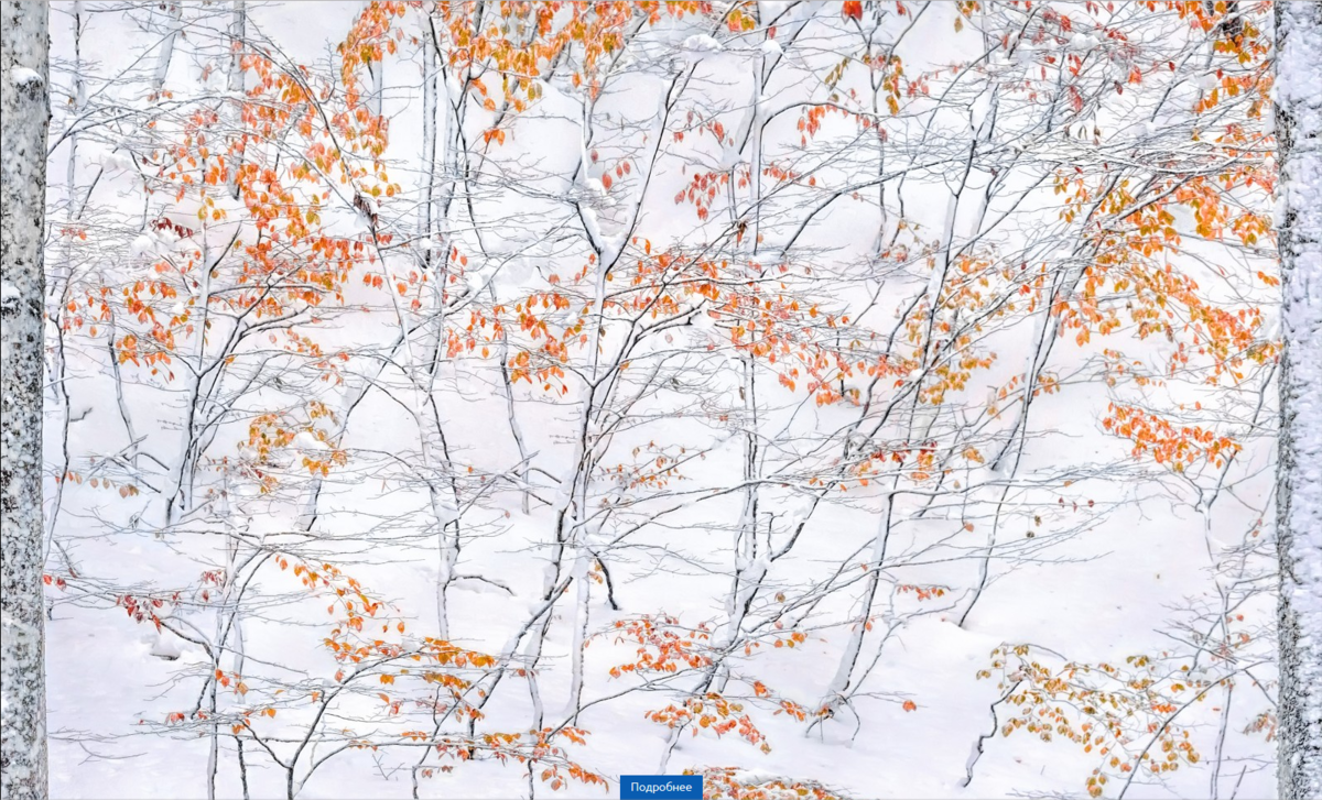 Встреча осени и зимы. Место съемки: Крым, гора Ай-Петри. Елена Пахалюк