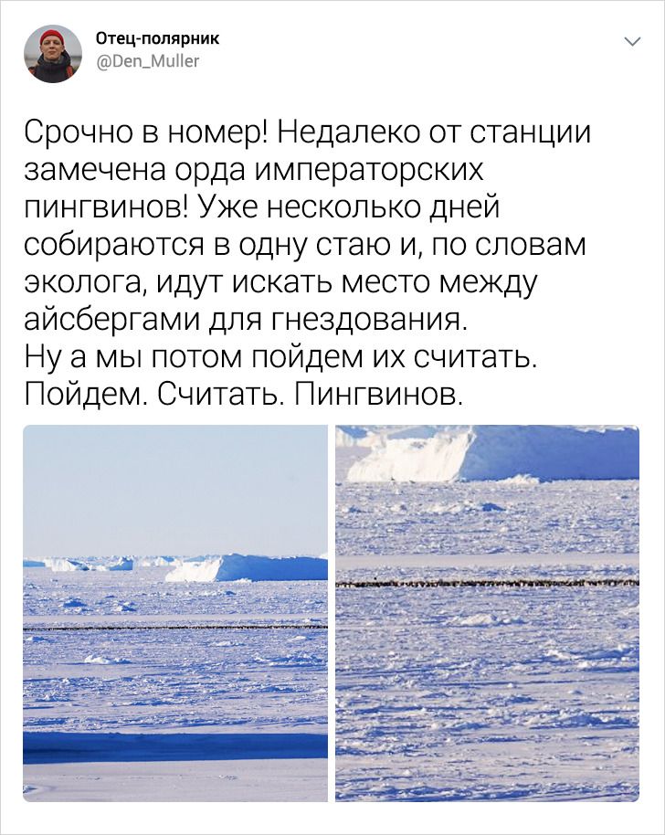 25 твитов от полярника, от которых веет холодом и восторгом! Антарктида,из первых уст,Мирный