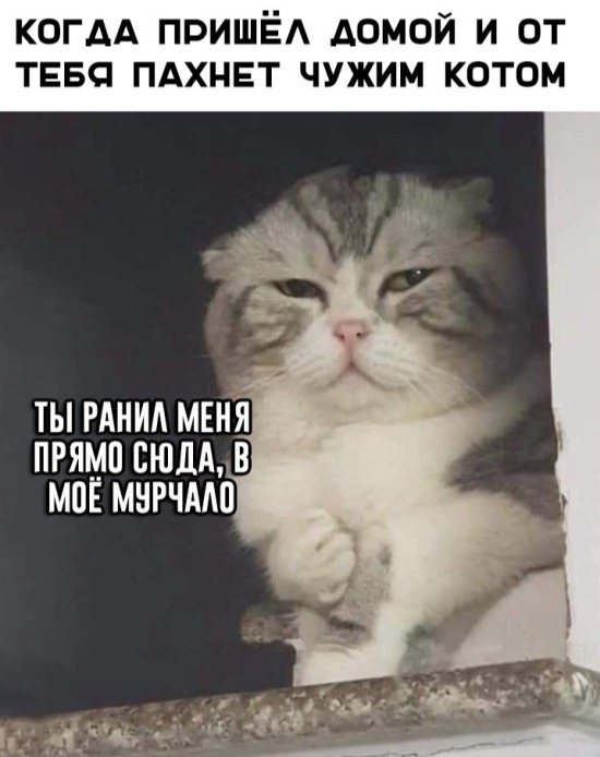 Интересная Фотоподборка выходных Интересная Фотоподборка выходных