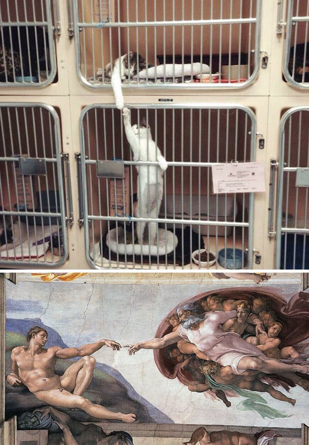 The Creation Of Catam