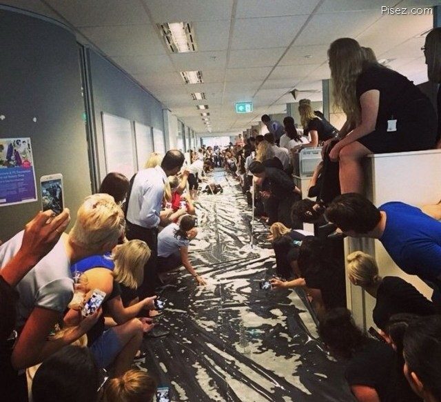 Рабочие приколы. Наслаждайтесь! Рабочие приколы. Наслаждайтесь! позитив,смешные картинки,юмор