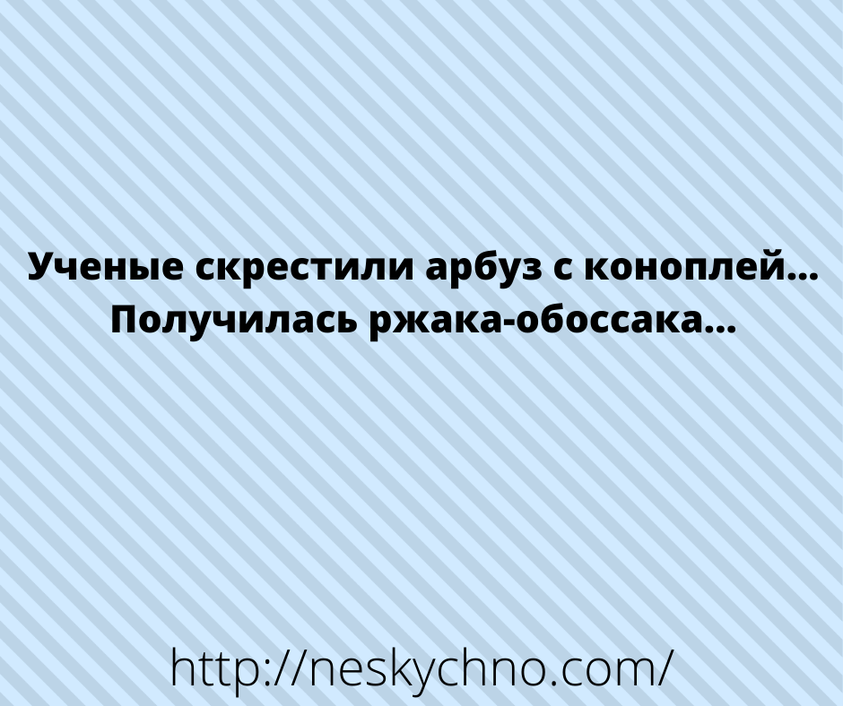 Несколько добрых и смешных историй из жизни Несколько добрых и смешных историй из жизни