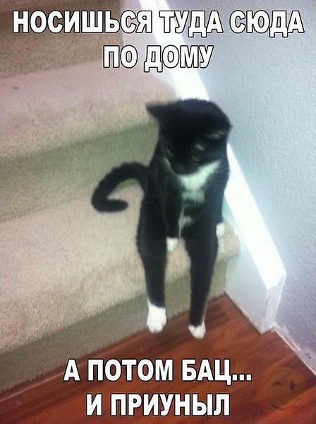 Давайте улыбаться вместе :) Давайте улыбаться вместе :)