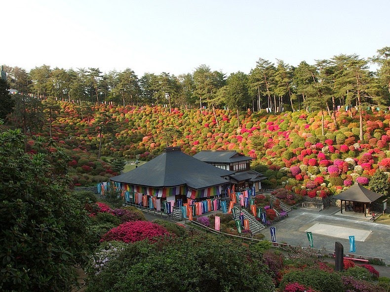 Shiofune-Kannon-ji Temple – буддийский храм, окруженный разноцветными кустами азалии авиатур