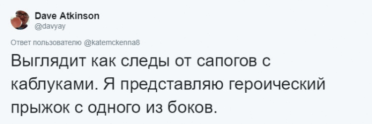 Канадка нашла нарисованного на снегу медведя, и теперь все пытаются понять: как ему сделали пупок? 