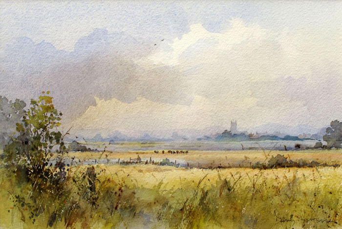 Summer at Hay Moor S (700x469, 142Kb)