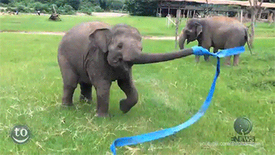 Прикольные и забавные гифки пятницы 