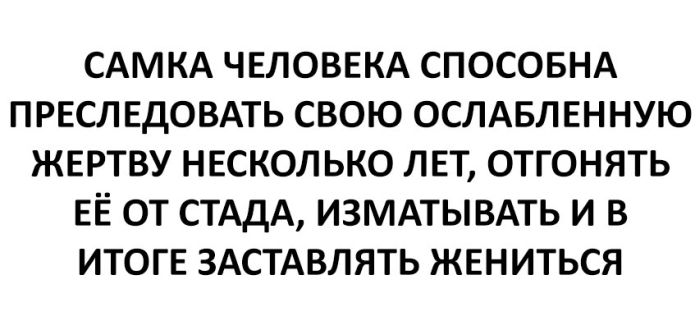 Прикольные и забавные надписи к картинкам и фото приколам 