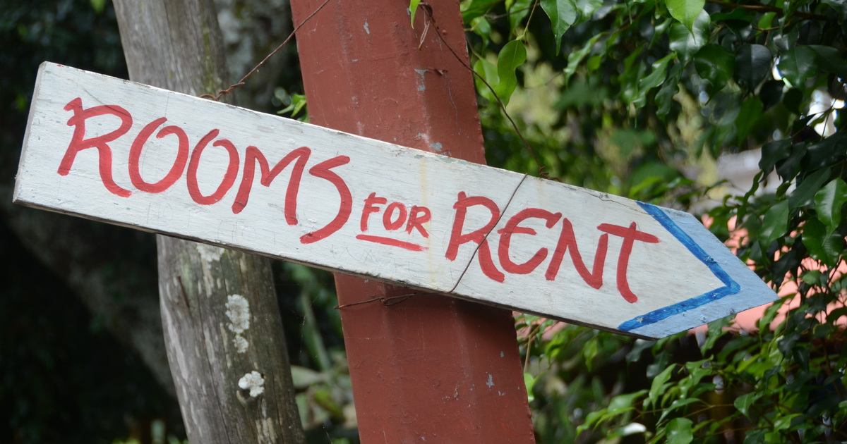 В Великобритании вводится арендная плата за домашних животных