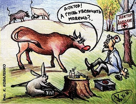 Прикольные картинки ветеринария