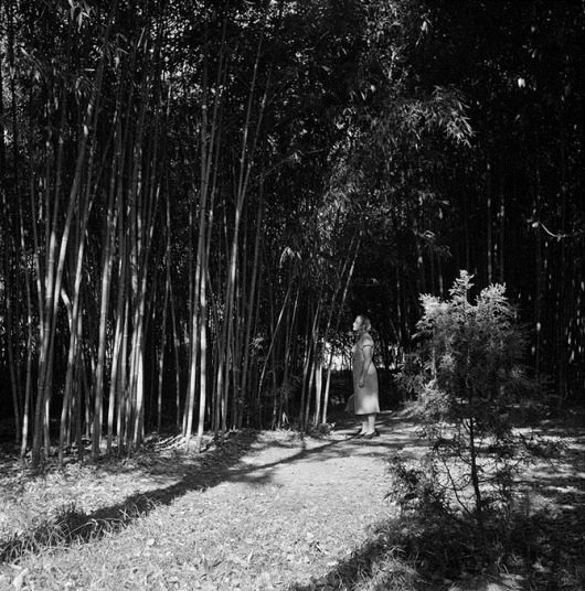 Советский Сухуми 1950-х годов Советский Сухуми 1950-х годов