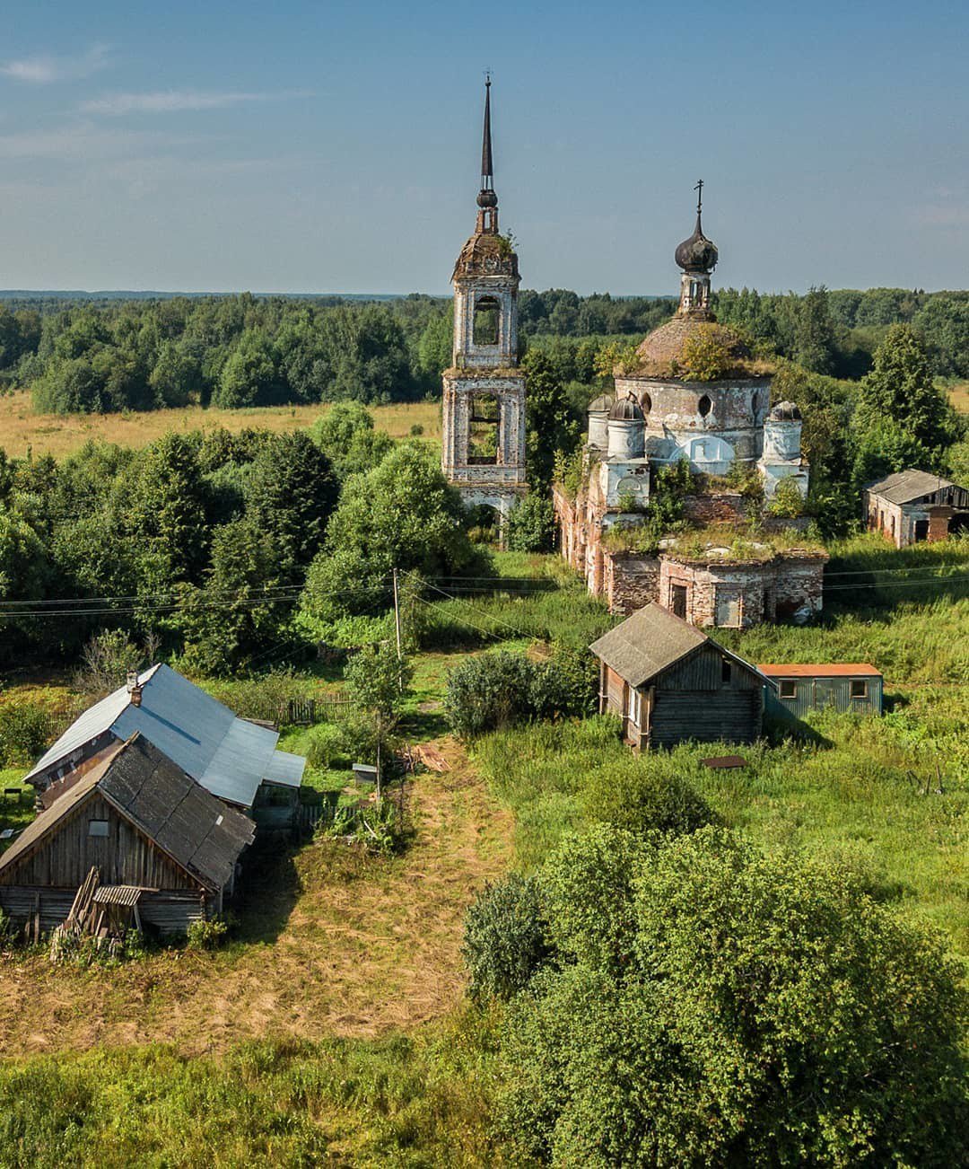 Показать фото или видео