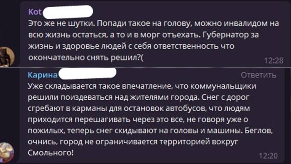 «Решили поиздеваться»: как коммунальные службы справляются со снегом в Петербурге Общество