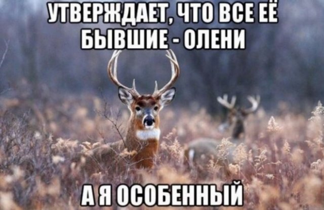 Приколы про современных девушек Приколы про современных девушек позитив,смешные картинки,юмор