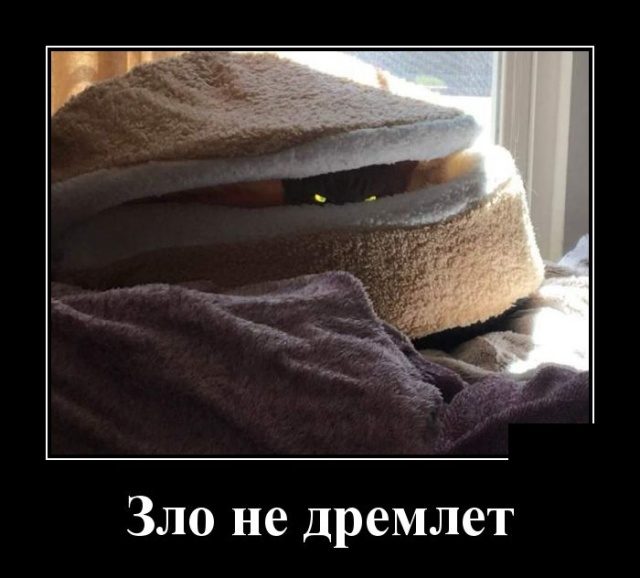 Самые забавные демотиваторы Самые забавные демотиваторы