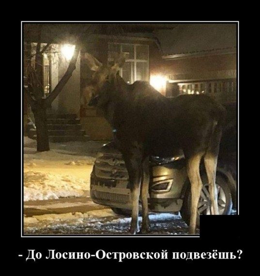 Самые классные демотиваторы