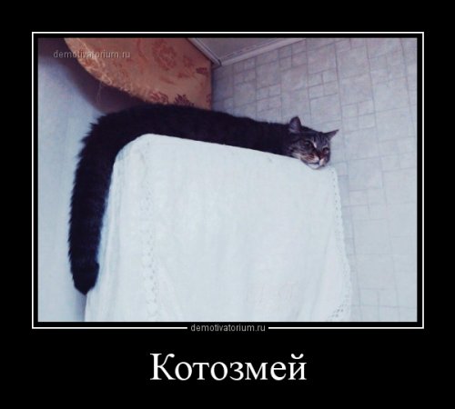 Новые демотиваторы для всех (13 шт)